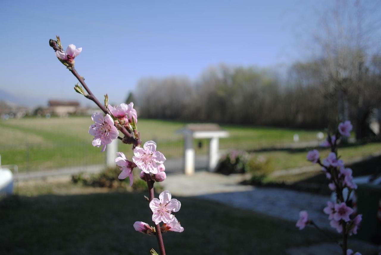 Villa Mirelia Rosta Dış mekan fotoğraf