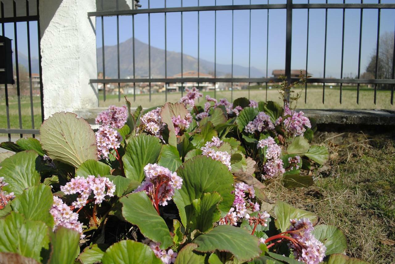 Villa Mirelia Rosta Dış mekan fotoğraf