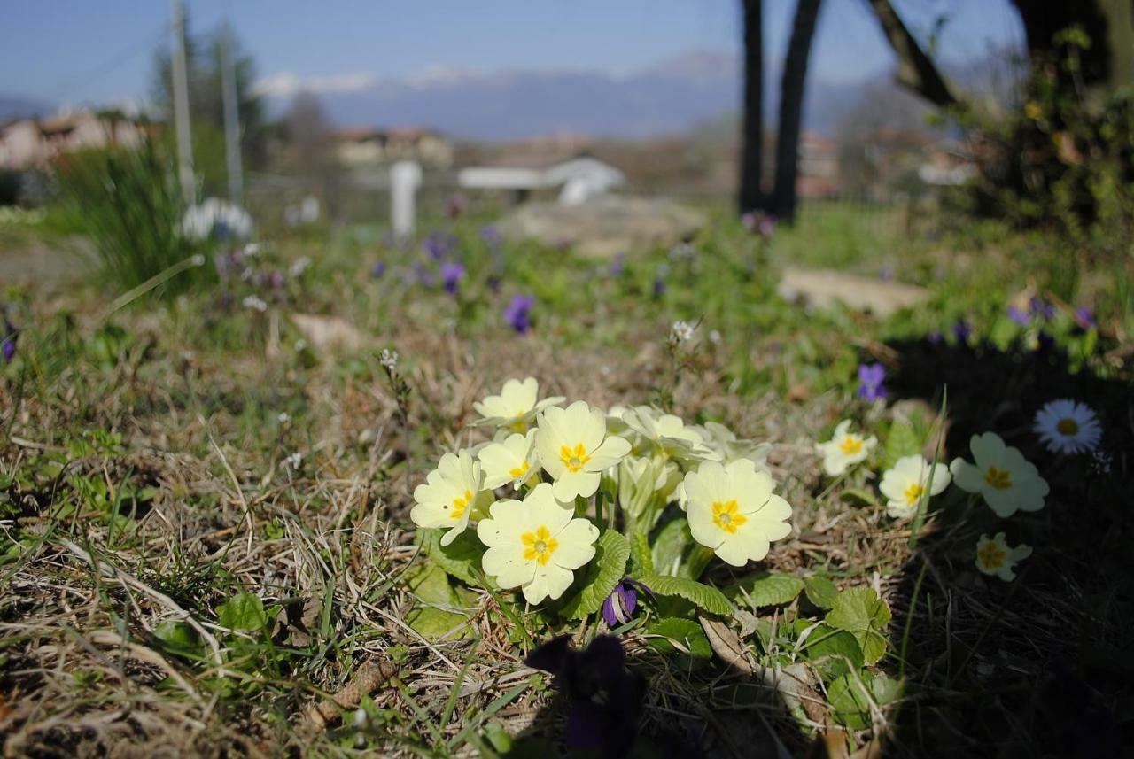 Villa Mirelia Rosta Dış mekan fotoğraf